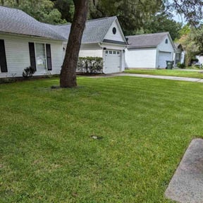 landscaping services by bullion  landscape reviewed on October 24, 2025