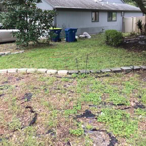 Leaf Removal by RW Property Solutions reviewed on July 1, 2025