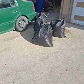 Leaf Removal by Double F Lawns reviewed on August 5, 2026