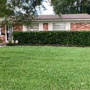 Bush Trimming by Parks Lawn & Landscaping LLC reviewed on August 17, 2025