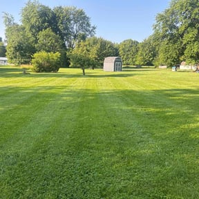 yard care by Meet Carthon landscaping reviewed on August 20, 2025