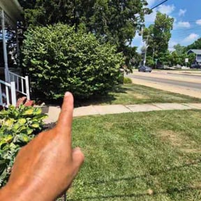 Bush Trimming by Edgar Yanez Services reviewed on August 21, 2025