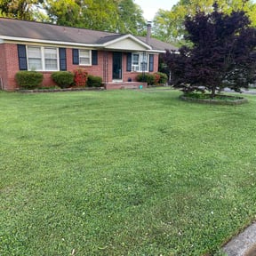 residential landscaping by ShoreLawn, LLC reviewed on August 16, 2025