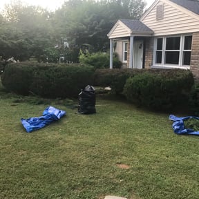 Bush Trimming by Zad&#039;s Lawn Worx reviewed on August 1, 2025