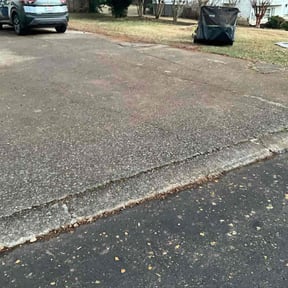 Leaf Removal by Front yard cowboy reviewed on December 10, 2025