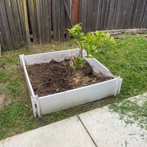 Flower Bed Weeding by Lopez Landscaping reviewed on August 18, 2025