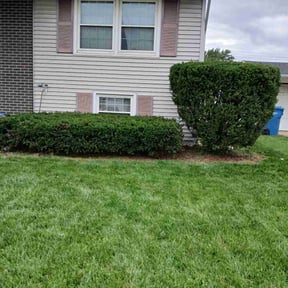 Bush Trimming by Better Lawns by Antonio reviewed on October 22, 2025