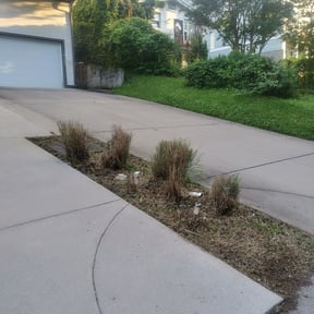 Bush Trimming by UnlimitedGroundCare. reviewed on August 16, 2025