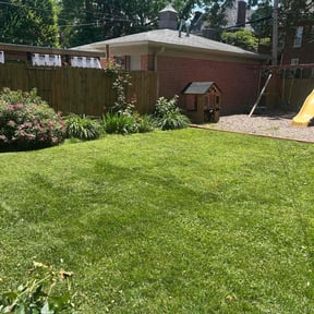 gardening service by TxT Construction reviewed on August 20, 2025