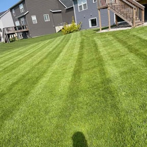 lawn care services by LIGHTNING LANDSCAPING & LAND MANAGEMENT reviewed on July 18, 2025