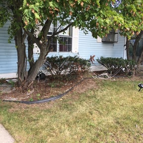 Flower Bed Weeding by Sharp Cutz LLC reviewed on August 17, 2025