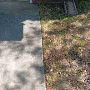 Bush Trimming by Sharp Property Preservation reviewed on August 17, 2025