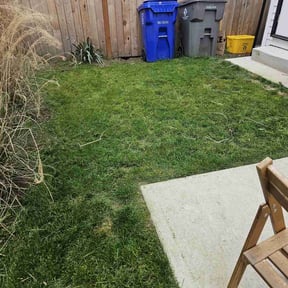 turf maintenance by Hillscapes reviewed on November 13, 2024