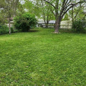 landscaping by Yard Dr. LLC reviewed on August 19, 2025