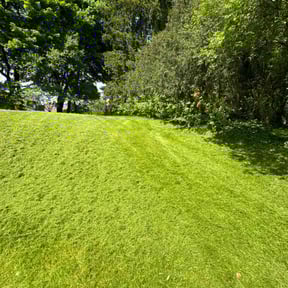 landscaping by Advantage Landscaping reviewed on August 18, 2025