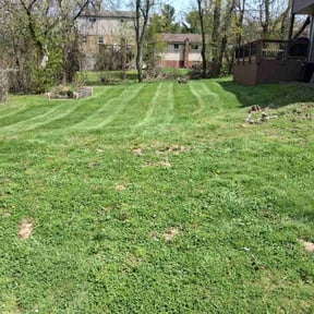 lawn care services by GG landscape reviewed on May 15, 2024