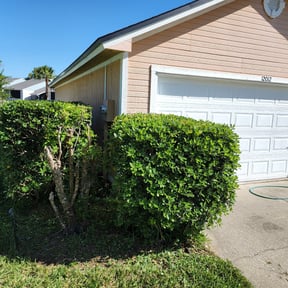 Bush Trimming by Your Lawn Cutters reviewed on August 21, 2025