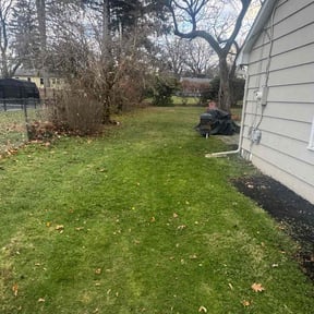 Leaf Removal by Sweat &amp; Soil reviewed on November 22, 2025