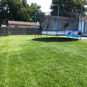 landscaping by Green Oasis Lawn Care reviewed on August 17, 2025