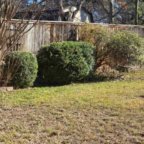 Bush Trimming by LS Landscaping reviewed on January 23, 2026