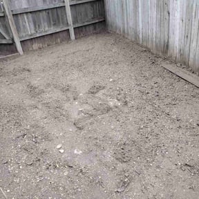 Leaf Removal by Meridian Management Group LLC reviewed on December 11, 2025