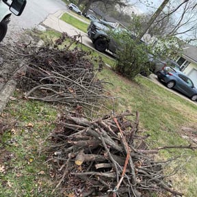 Leaf Removal by Elite Miller Express reviewed on May 16, 2026
