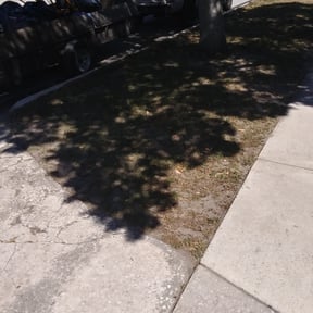 Leaf Removal by Mightyfine professional  services reviewed on September 19, 2025