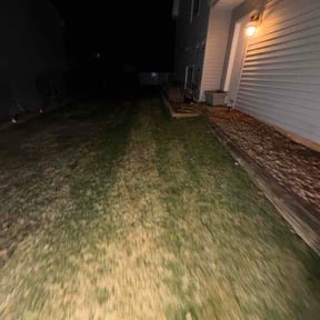 Leaf Removal by Lush Lawns reviewed on April 21, 2026
