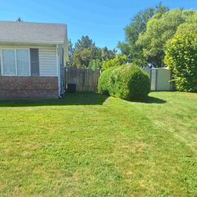 Bush Trimming by Allentown Lawn and Landscape reviewed on November 8, 2025