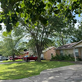 landscape maintenance by Caseys fresh cuts reviewed on August 18, 2025