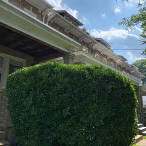 Bush Trimming by Var Landscape reviewed on August 21, 2025