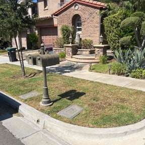 lawn service by J&J landscaping and tree care services 48448 reviewed on November 29, 2024