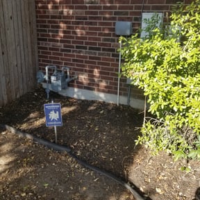 Leaf Removal by We Care Lawn Care reviewed on August 15, 2025