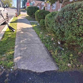 Bush Trimming by Dtsts green machine inc reviewed on October 18, 2025