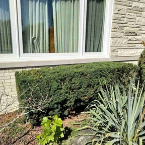 Bush Trimming by Landaeta & Gamero Investments reviewed on August 15, 2025