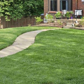 residential landscaping by Cummings and Cummings Lawn Care reviewed on November 18, 2025