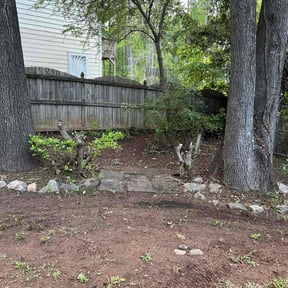 Leaf Removal by Cul De Sac Lawncare reviewed on September 8, 2025