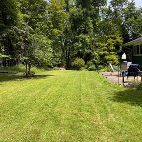 yard work by Quality Pro. Construction reviewed on August 19, 2025