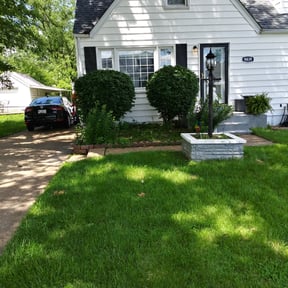 Bush Trimming by Juana's Botanical Landscaping reviewed on August 21, 2025