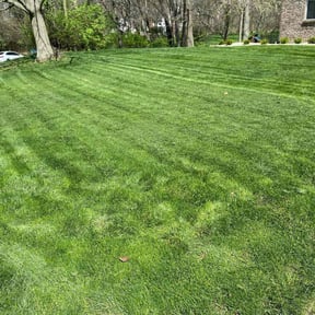 landscape maintenance by Ok Jim Lawncare reviewed on August 17, 2025
