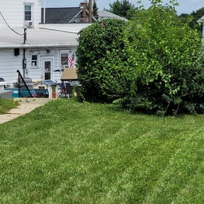 Bush Trimming by Vb lawn service reviewed on August 18, 2025