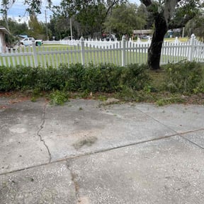 Bush Trimming by set straight property polish reviewed on November 21, 2025