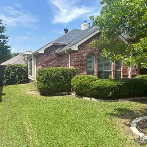 Bush Trimming by Hayes lawncare llc reviewed on April 25, 2026