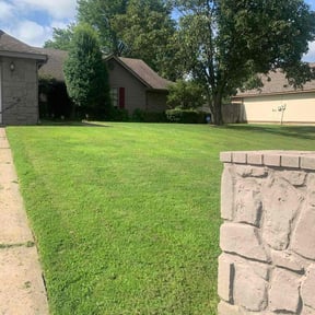 landscaping services by Yard pro reviewed on August 18, 2025