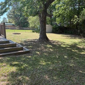 Bush Trimming by DigonThis Lawncare reviewed on April 16, 2026