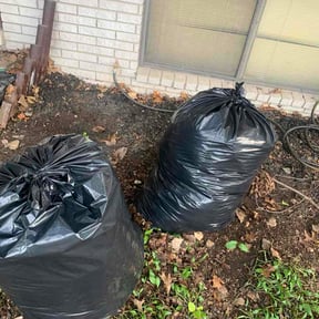 Leaf Removal by Gusta Grounds LLC reviewed on June 10, 2026