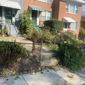 Bush Trimming by The NY/FL Yard Pros reviewed on August 21, 2025