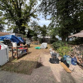 Bush Trimming by Mr. Mower reviewed on October 23, 2025