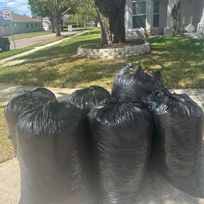 Leaf Removal by Alden Nash Tractor &amp; Turff reviewed on October 22, 2026