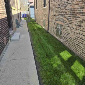 yard care by E and a landscape reviewed on August 18, 2025